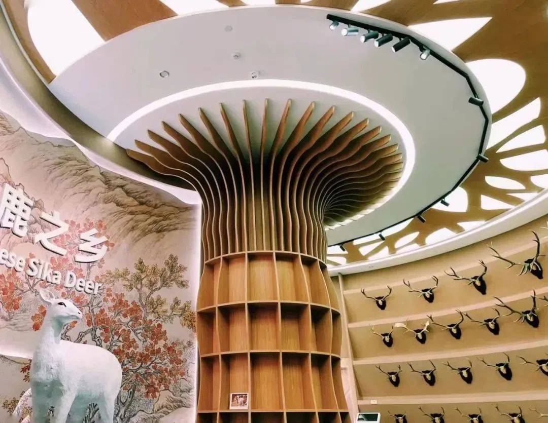 畅游"中国梅花鹿之乡",没有比梅花鹿博物馆更好的去处.