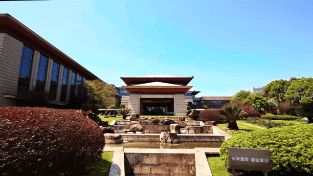 等一片橘子海,漫步同里湿地公园,看水上森林和灿烂花海.