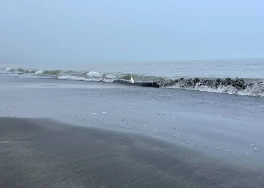 出去玩 | 澳门有条不错的海岸徒步线【563集】_沙滩_中央_海浪