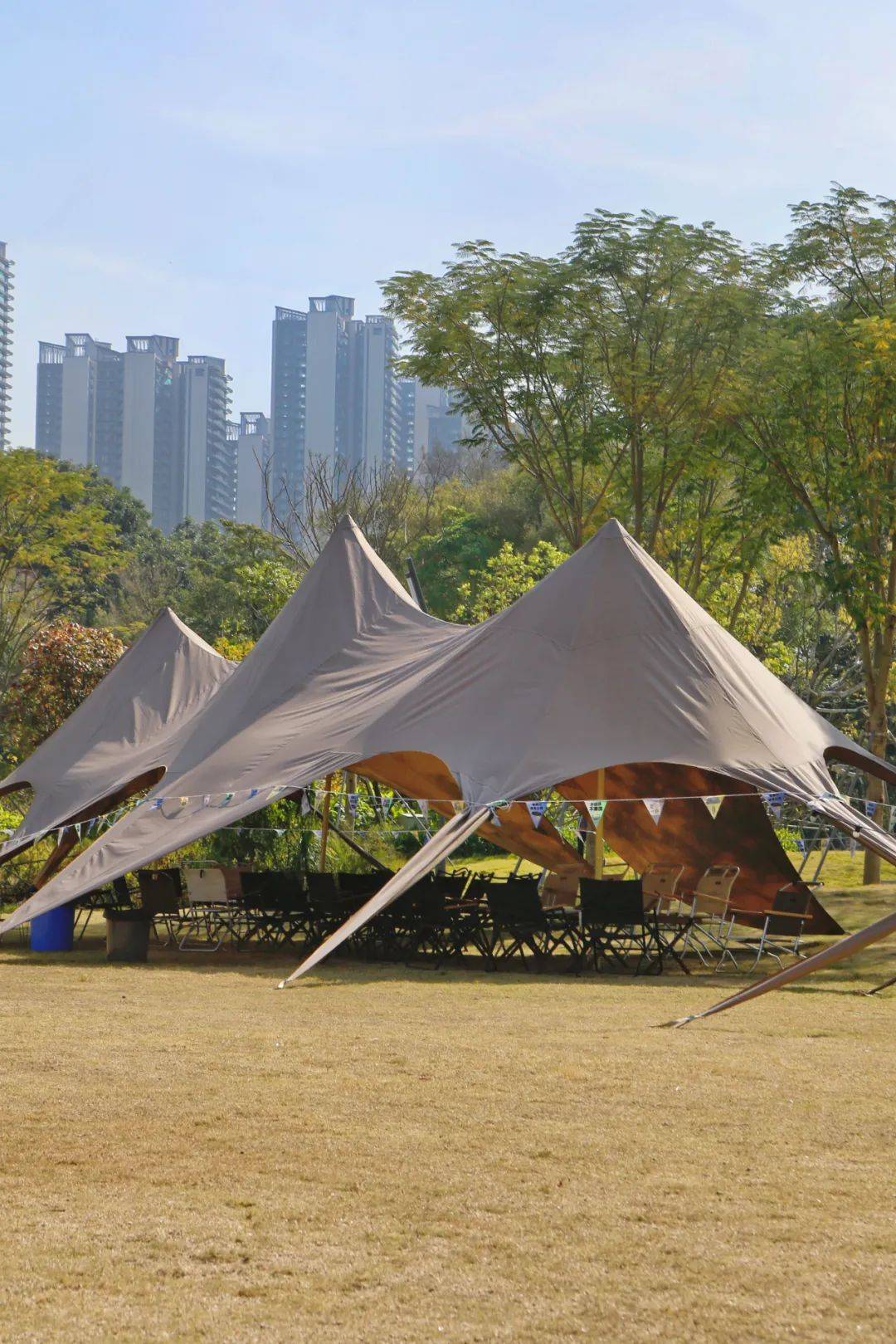 笔架山体育公园!你现在是真的火了!_运动_建设_深圳