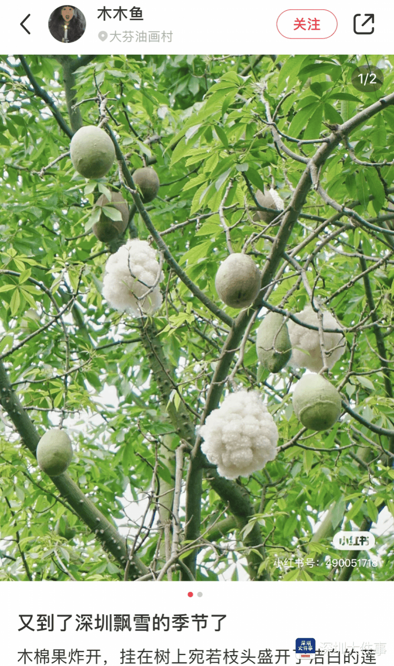 近期深圳街头太多,这些人快远离!官方发布提醒