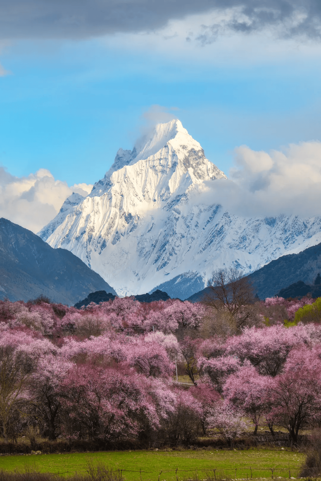 笔记| 带上z 7ii去感受西藏的三月67_mm_尼克尔_雪山
