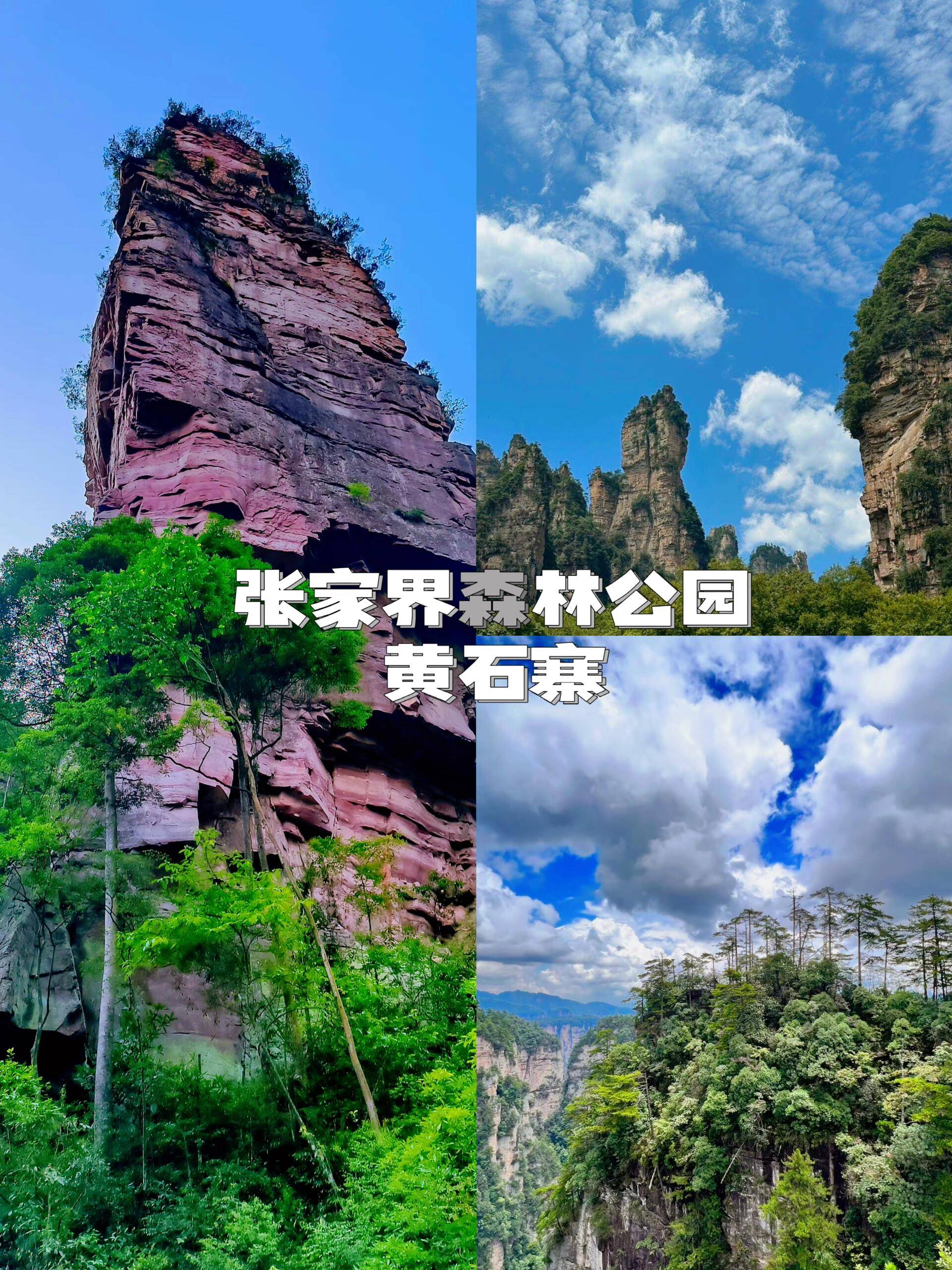 凌海去张家界旅游团价格,费用多少 ,亲身经历希望能帮助您