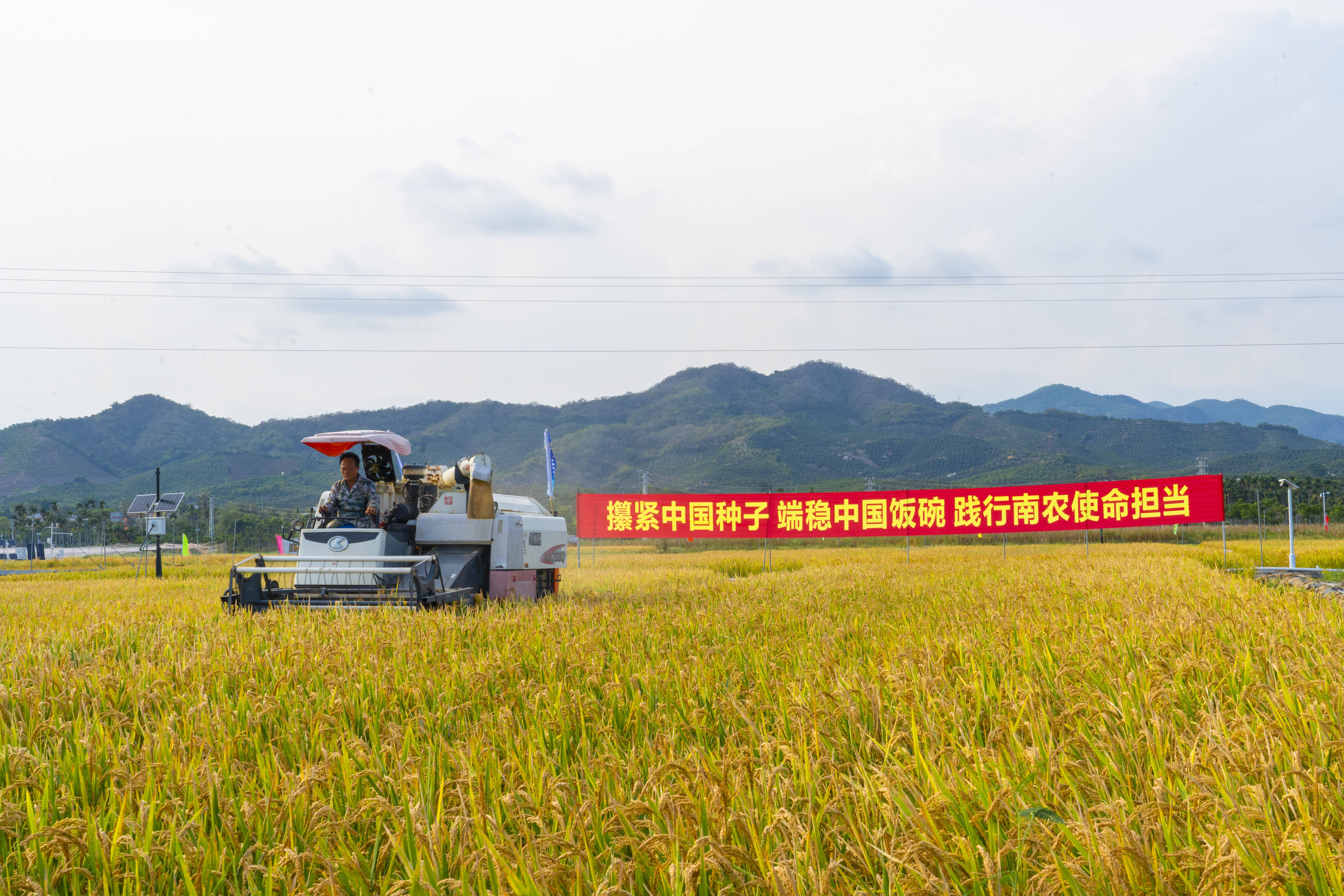 佳木斯水稻种子科研所图片
