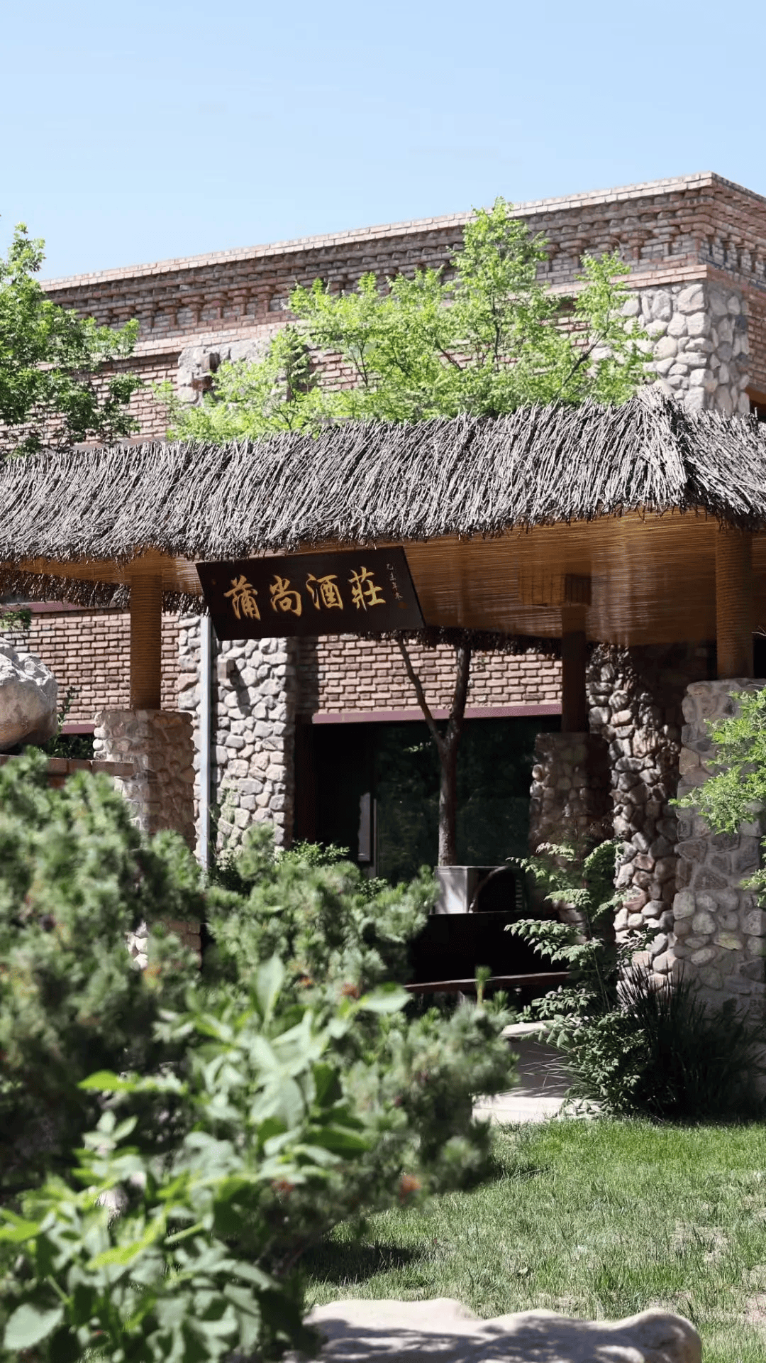 在贺兰山顶上仰望星空喝红酒,是种什么神仙体验?_酒庄_宁夏_产区