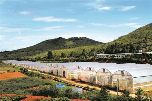 新田县东升农场瓜果基地 郭磊 摄谷雨之后,永州广袤的田野生机盎然.