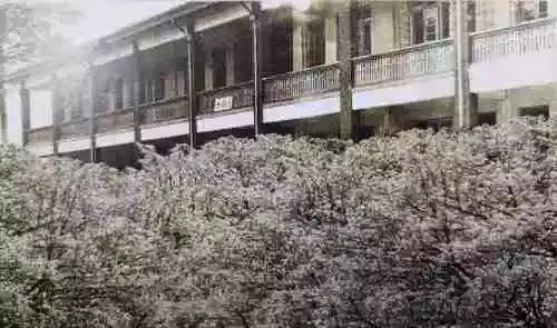 三好楼群英楼上世纪80年代的二中校门2019年,漳州二中多了一个新名字