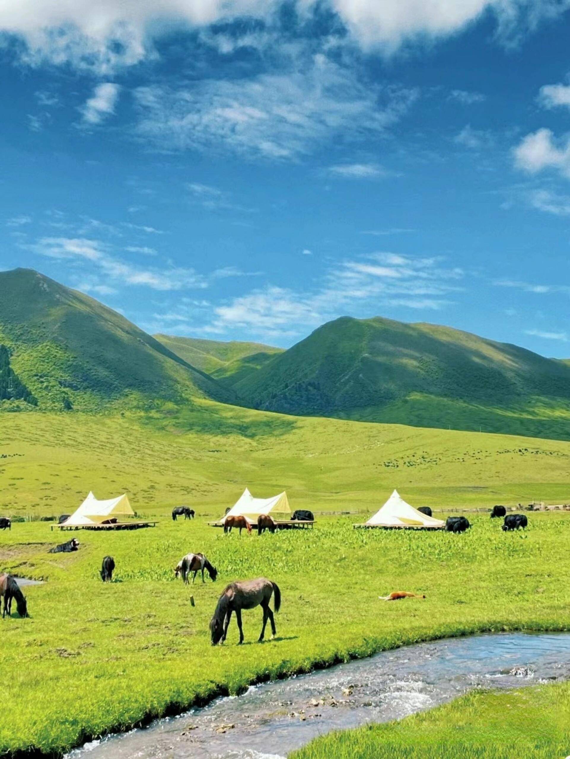 老河口去成都旅游团价格,费用多少 ,防骗攻略,不看后悔