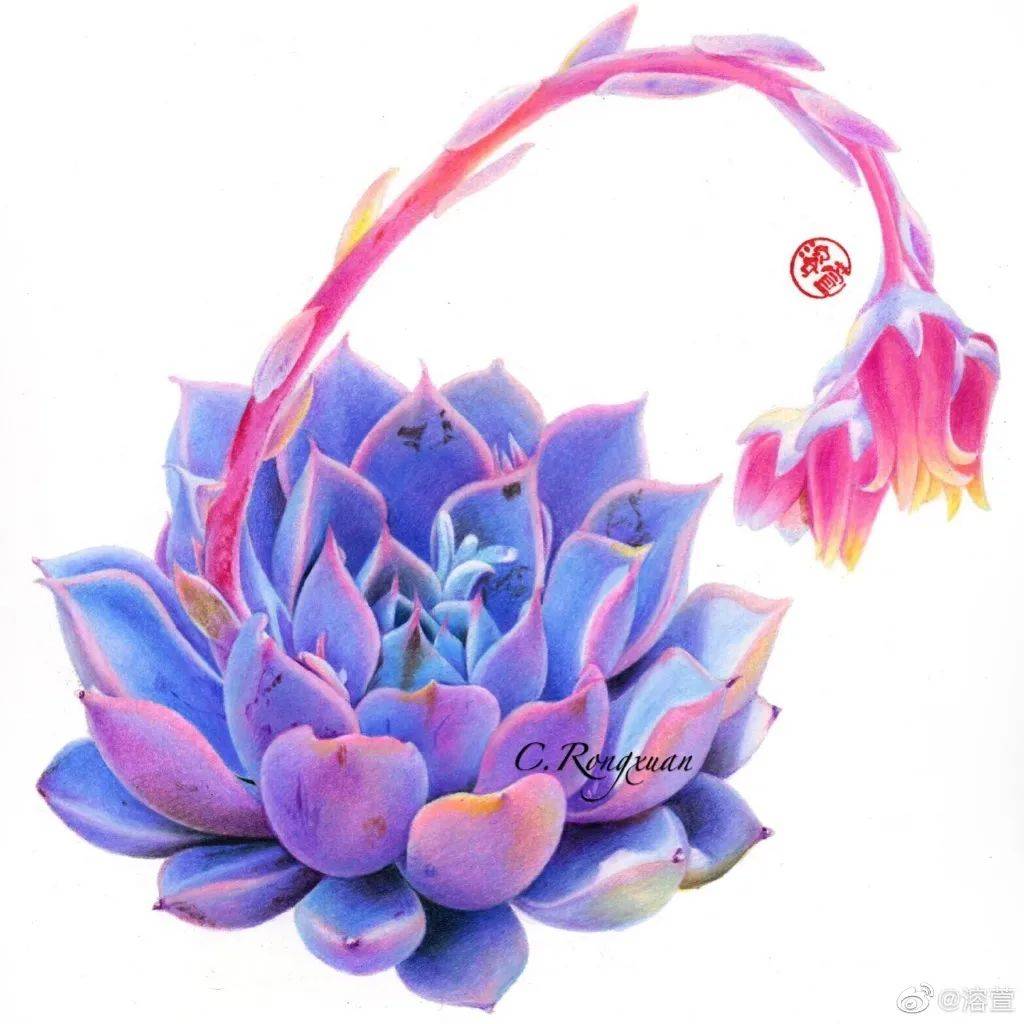 妈呀!油性彩铅这样画,效果简直美炸!