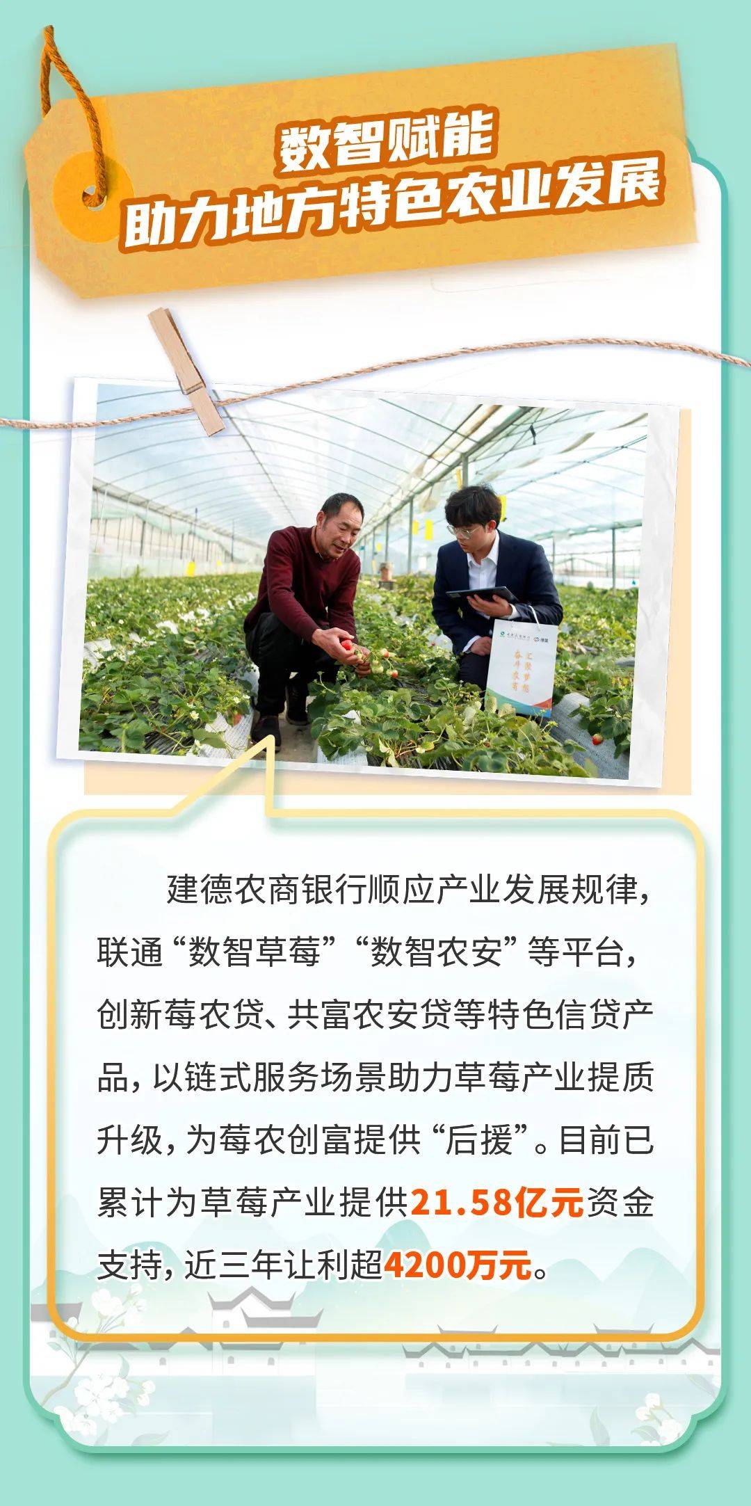 一个也不少!浙江农商银行系统82家行社均成为"乡村振兴主办银行"