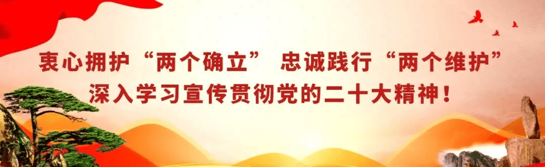 一片叶子的魅力 | 春游江淮 | 519 中国旅游日