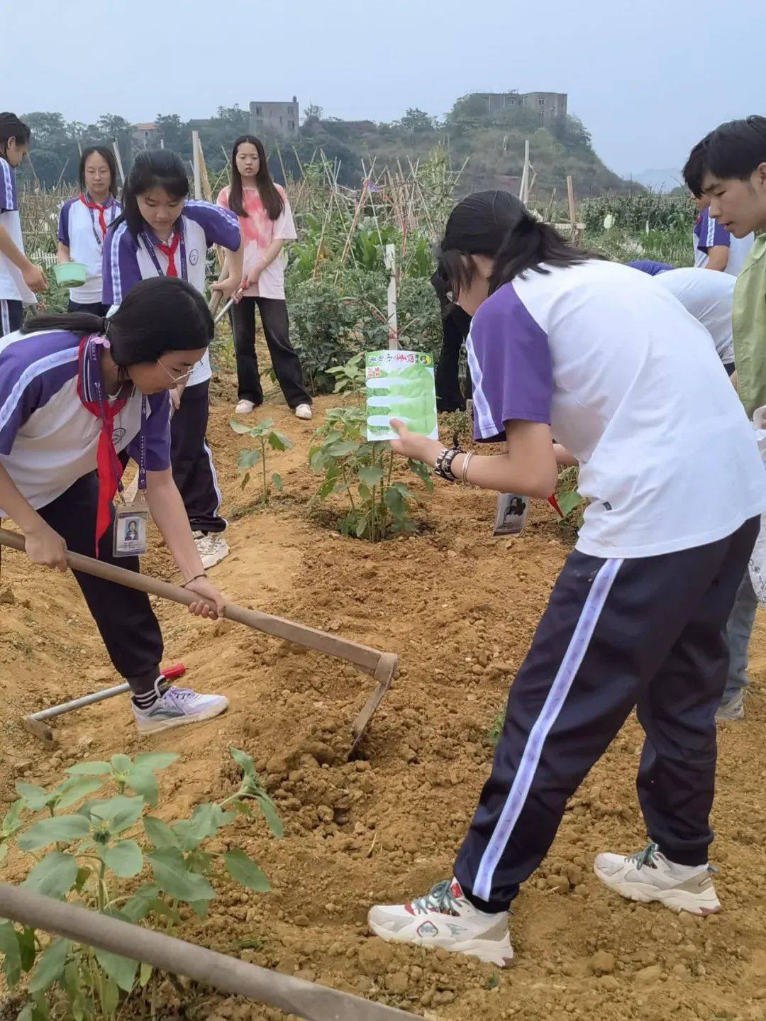 "劳动砺心智,实践促成长"一南充高中嘉陵校区初2022级学生户外劳动