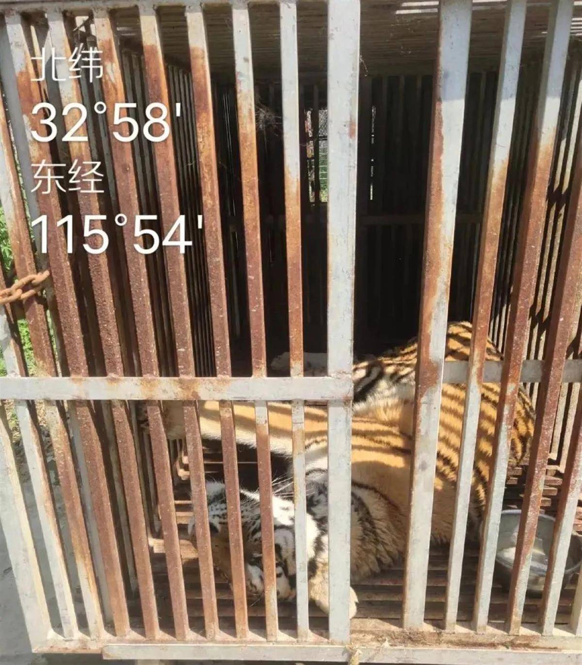 阜阳野生动物园倒闭图片