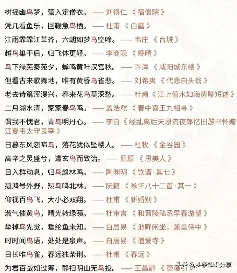 关于鸟的诗图片