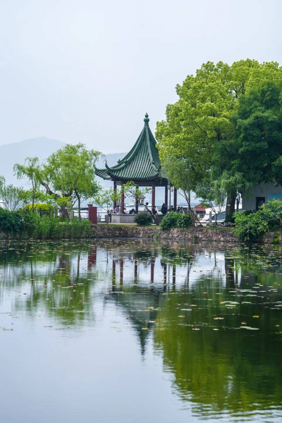 蠡园门票 游船65元/人蠡园 鼋头渚联票110元/人(半价60元/人)营业时间