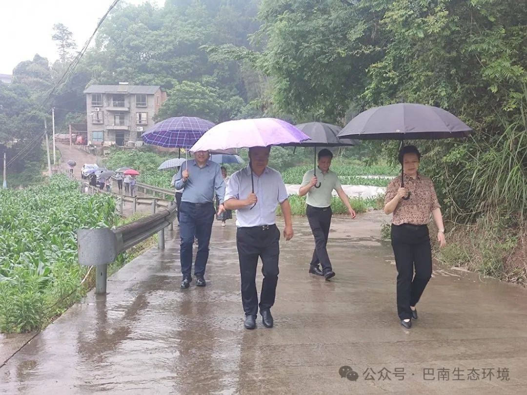 巴南区委常委,区政府常务副区长周密专题研究生态环境问题整改工作