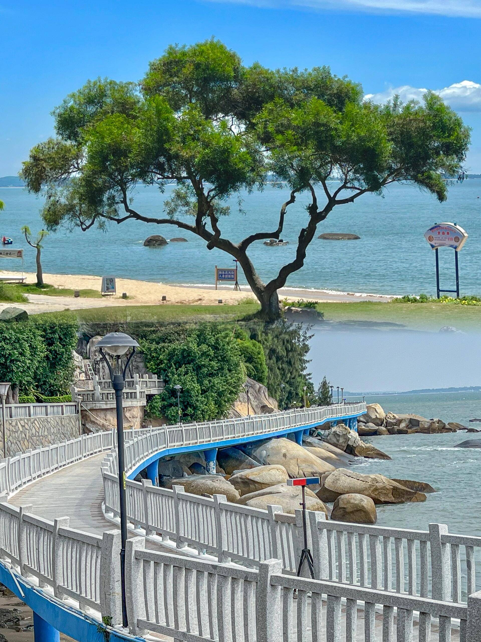 四会去厦门旅游团价格,费用多少 ,这篇实用旅游路线可以无脑冲