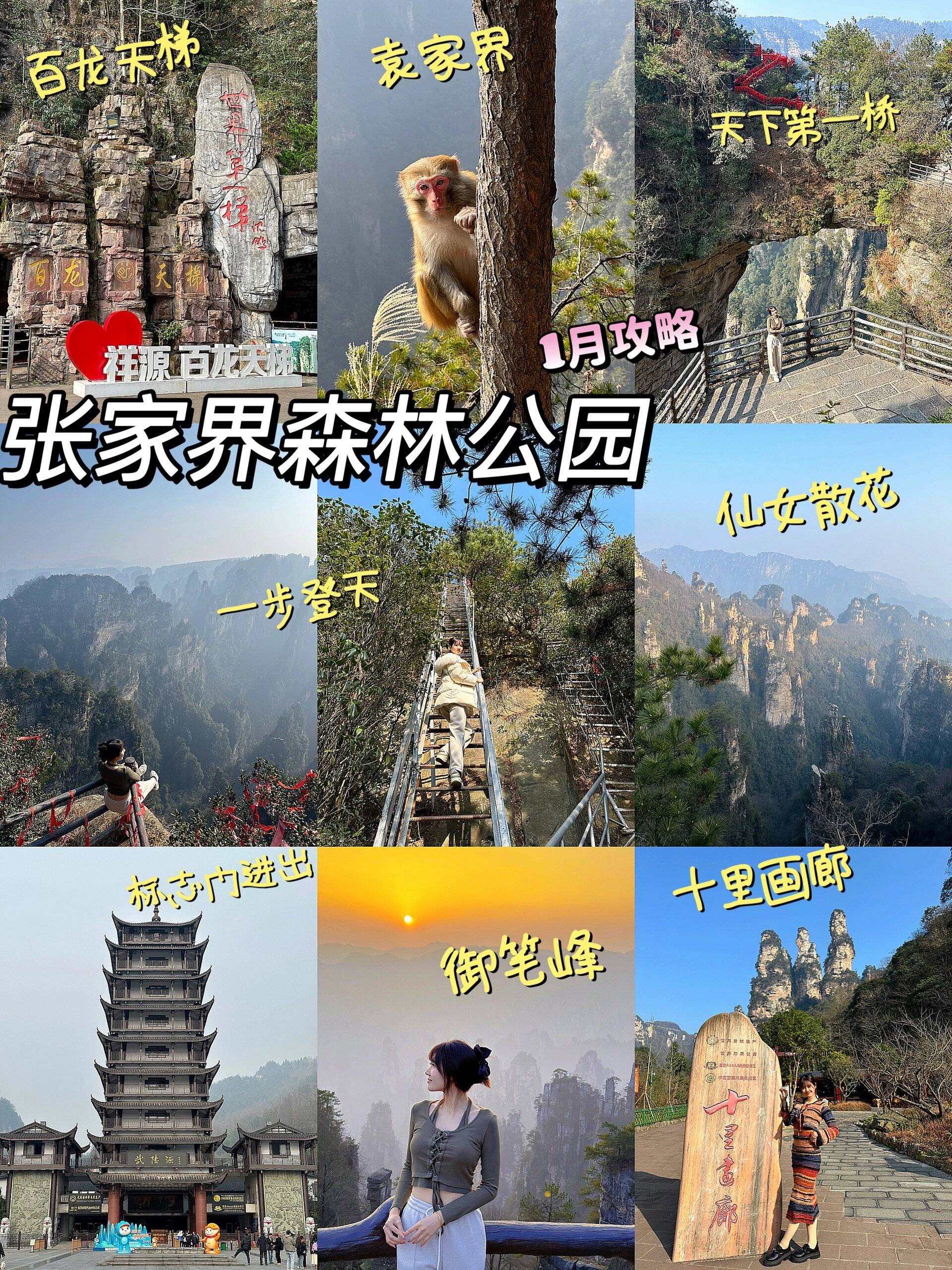 承德去张家界旅游报团价格,团费多少 ,最佳攻略(景点 门票 吐槽)