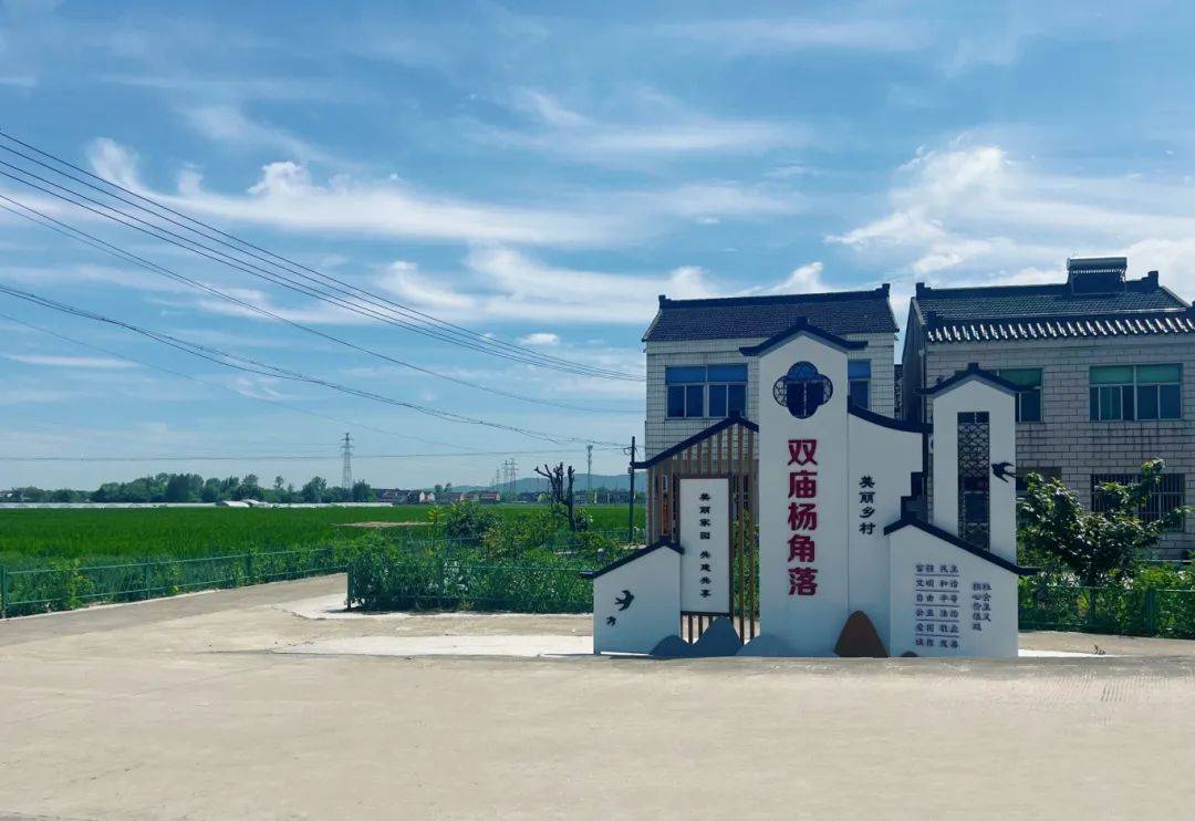 见证微幸福丨双庙村"茭"出乡村振兴新答卷