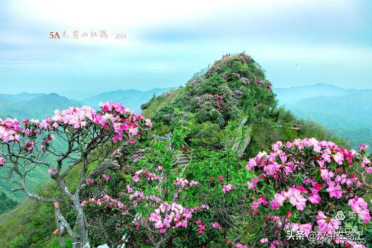 这个高空花园,很多汉中人都去打卡了!