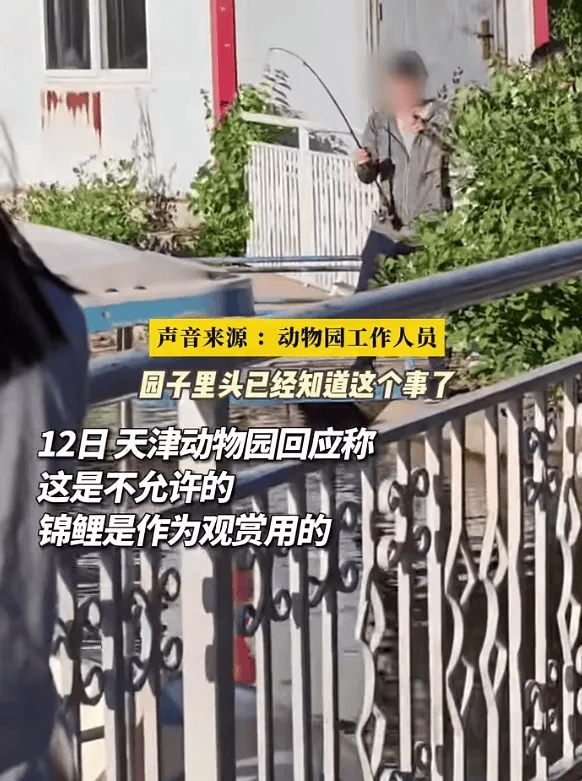 大熊猫咬死人图片