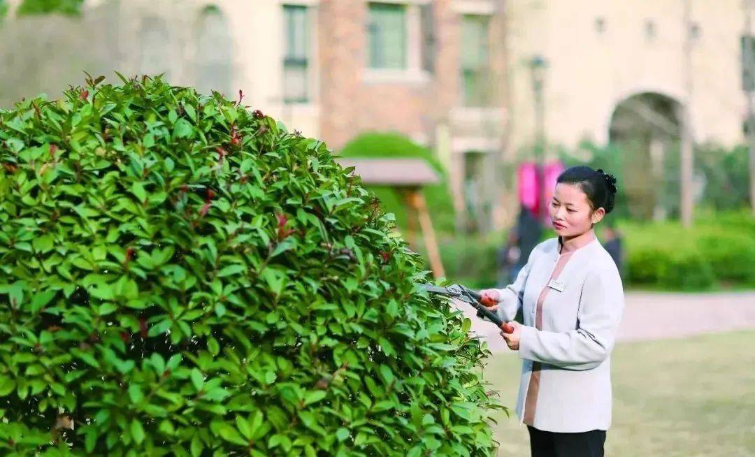 物业到底干什么的?99%的业主还不清楚!