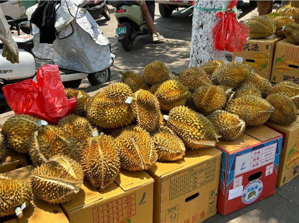 当前,在水果批发市场门口仍旧有20元/公斤(10元一斤)的榴莲,只不过