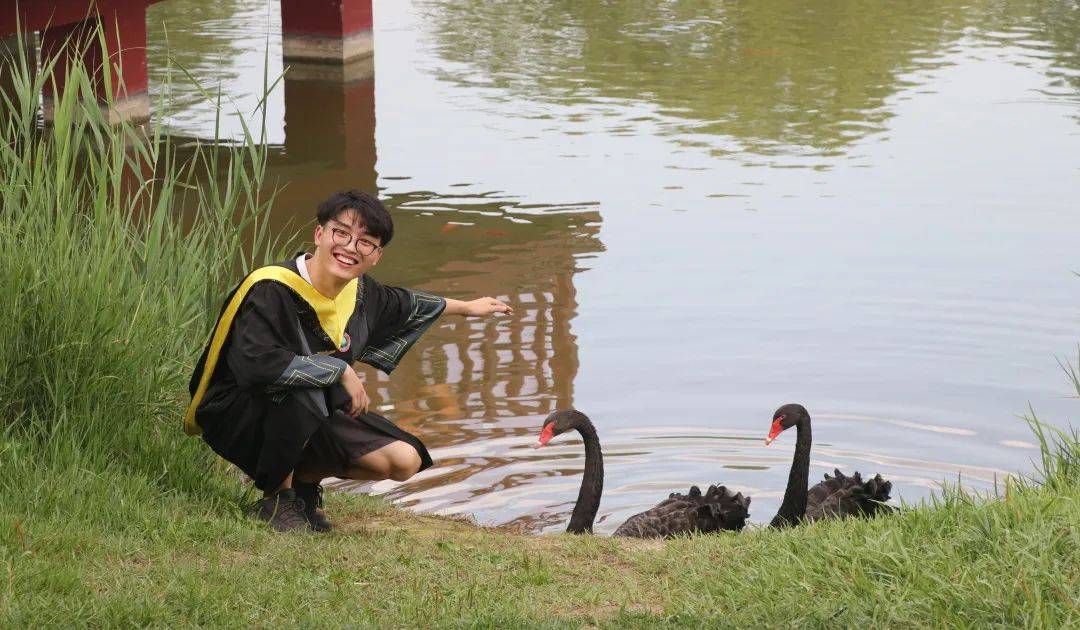 智汇秀洲 ② | 留嘉留秀,这些北理工学子这么选择