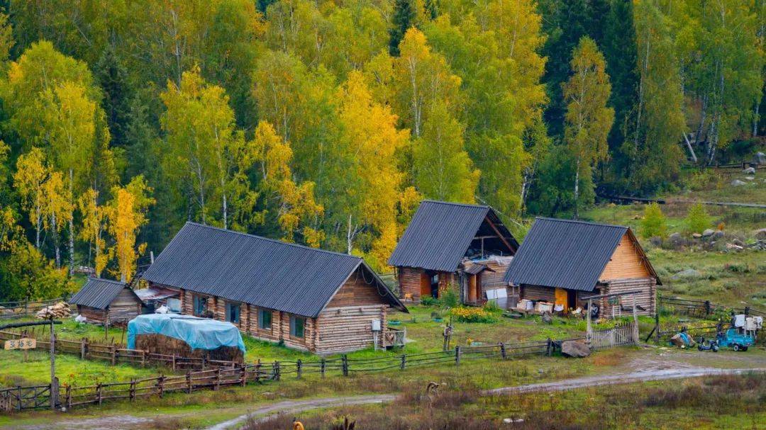 我的阿勒泰:美,无处不在