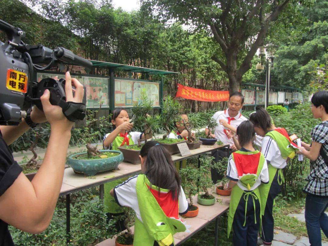 多年来为培红小学(岭南盆景传承基地)的学生们授课,为岭南盆景这项