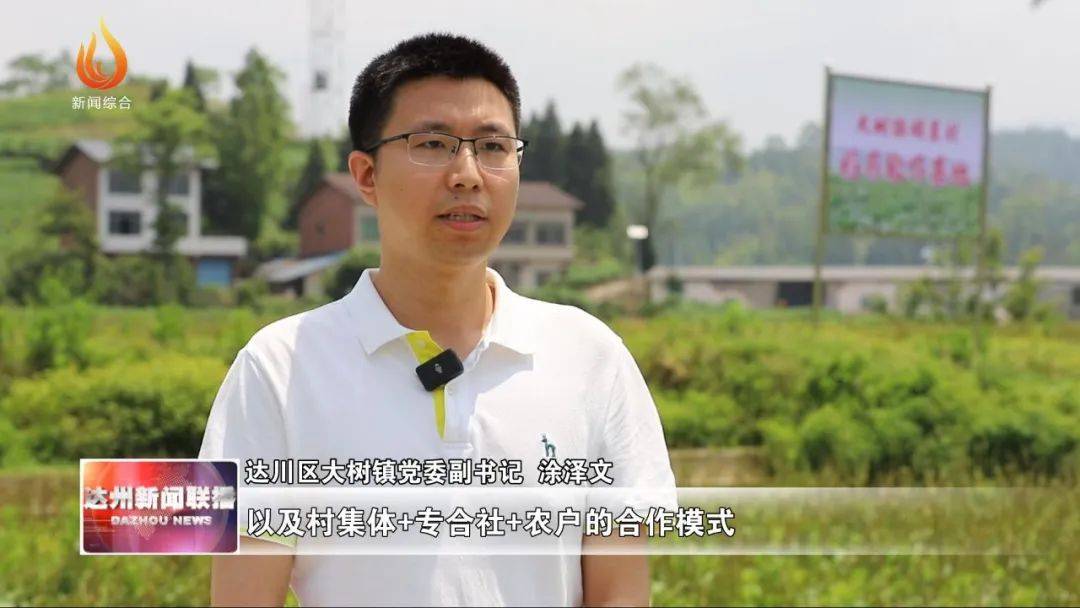 达川区大树镇党委副书记 涂泽文:我们通过"水稻 中药材"轮作的生产