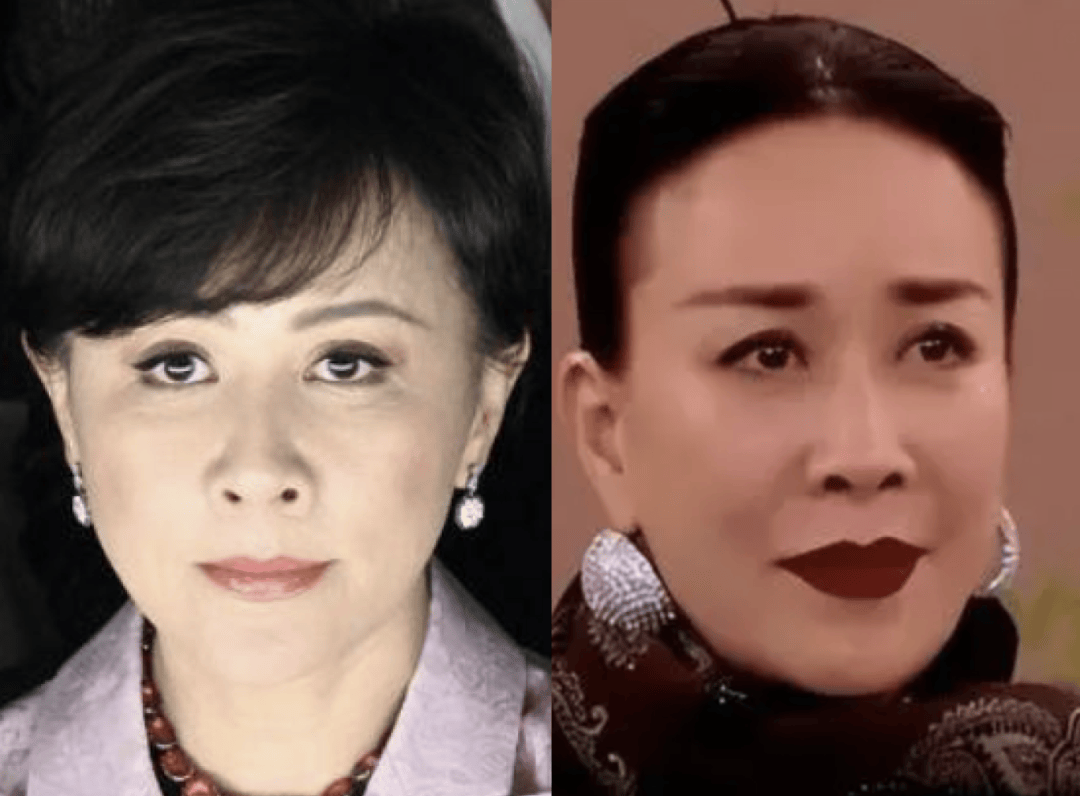 那英对不起! 我以为来参加《歌手》的刘嘉玲