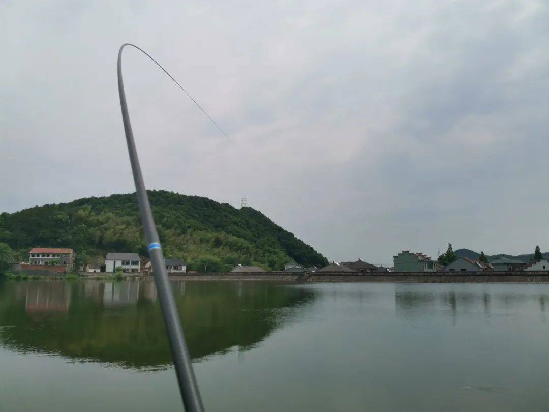 野钓鲢鳙保姆级教学,从鱼竿到饵料再到钓法,一次讲清楚
