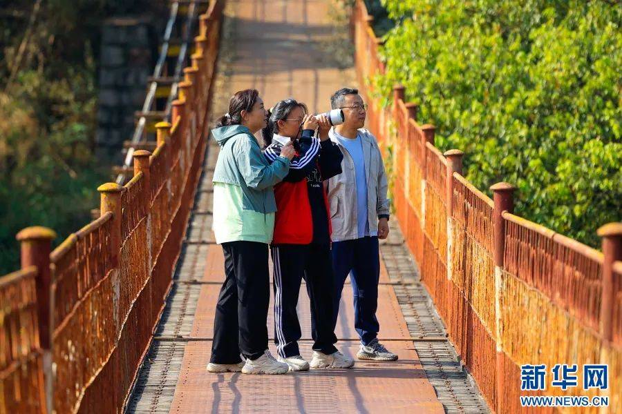 【云南故事·国际家庭日特别策划】在绿水青山间,写一首名为"家"的诗