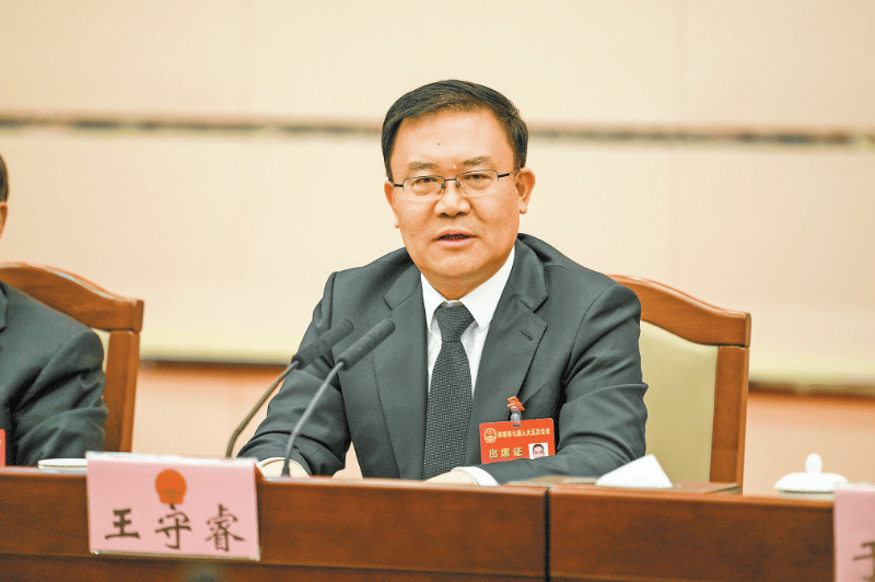 上述消息显示,深圳市副市长王守睿,已任市委常委.