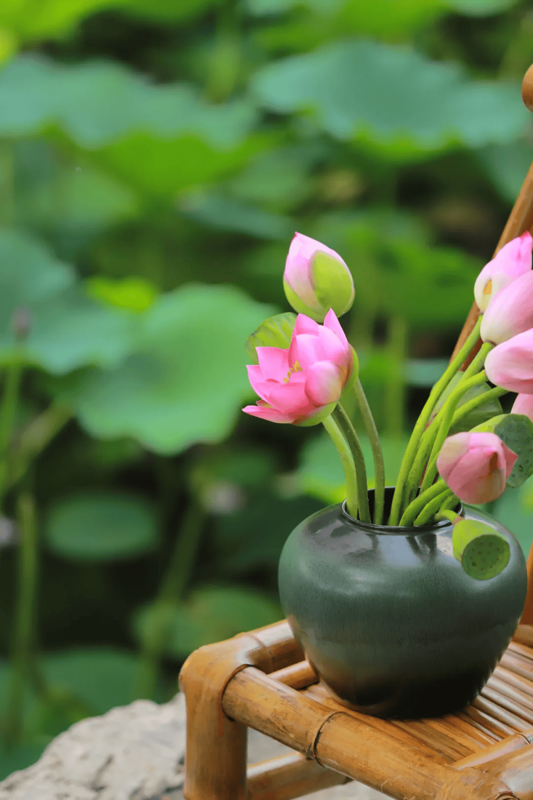 允许自己慢下来