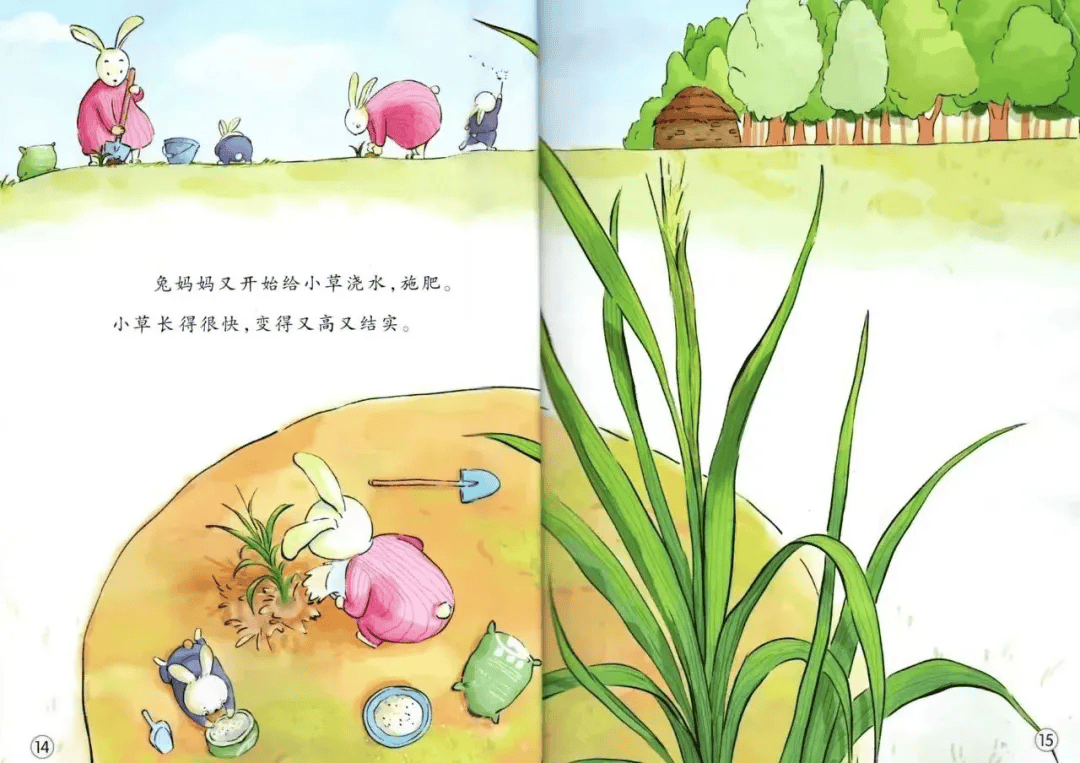 睡前绘本故事丨《一粒麦子》