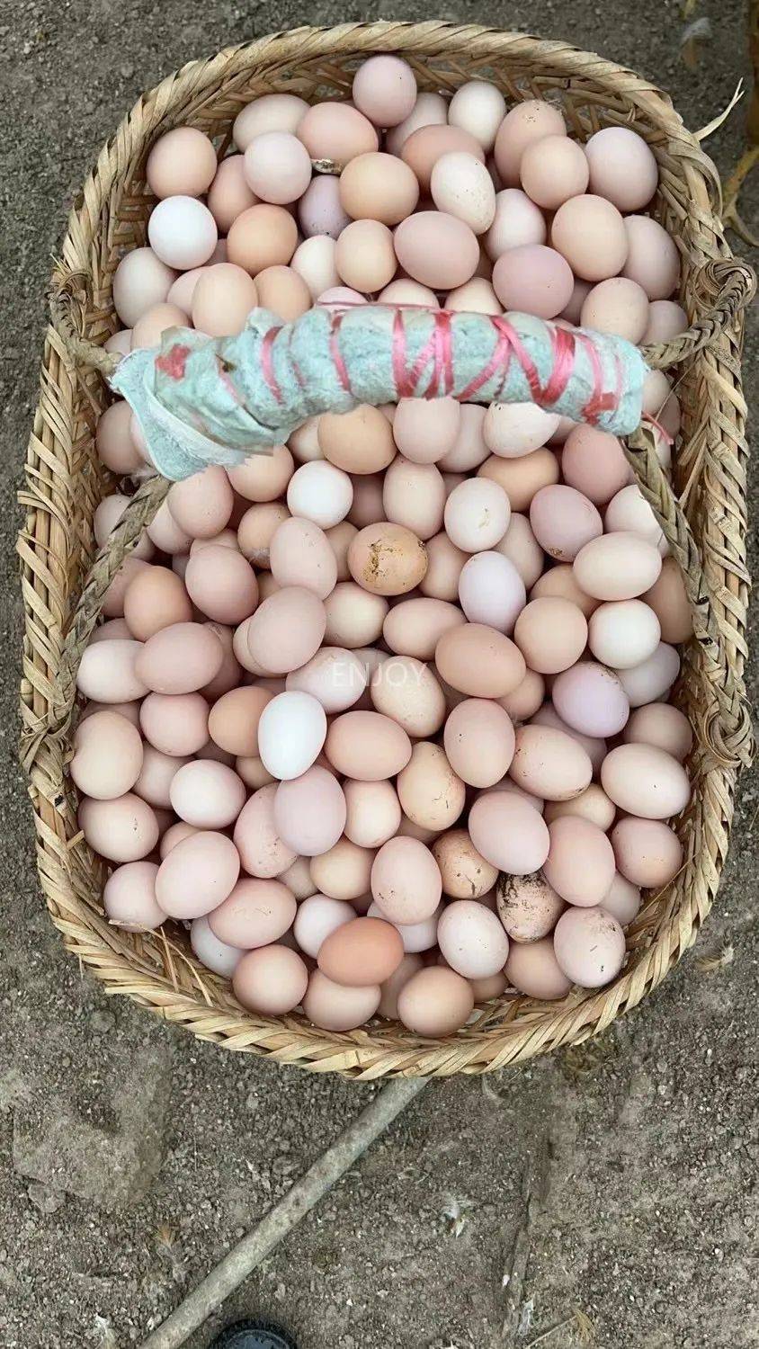 【九华山富硒土鸡蛋】39.9元享60枚!