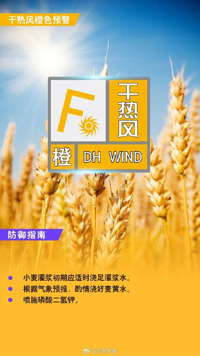 郑州市气象台发布干热风橙色预警