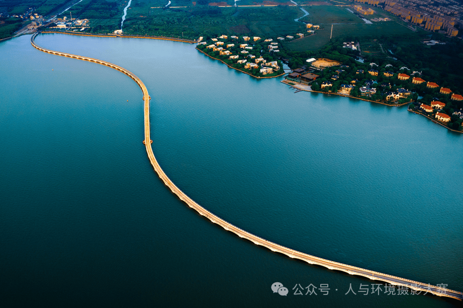 2024上海城市生态环境影像展入选作品发布_海民_公园_浦东