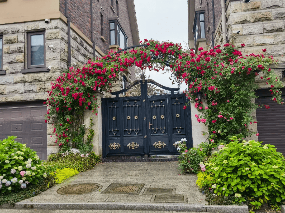 仪征这些小区突然就火了._花海_花园_市民