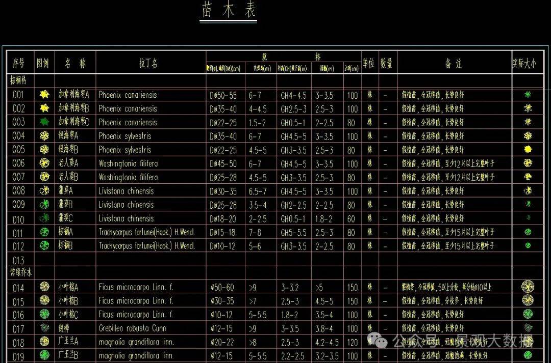 恒大苗木表,全国统一苗目表(可参考品种,规格)