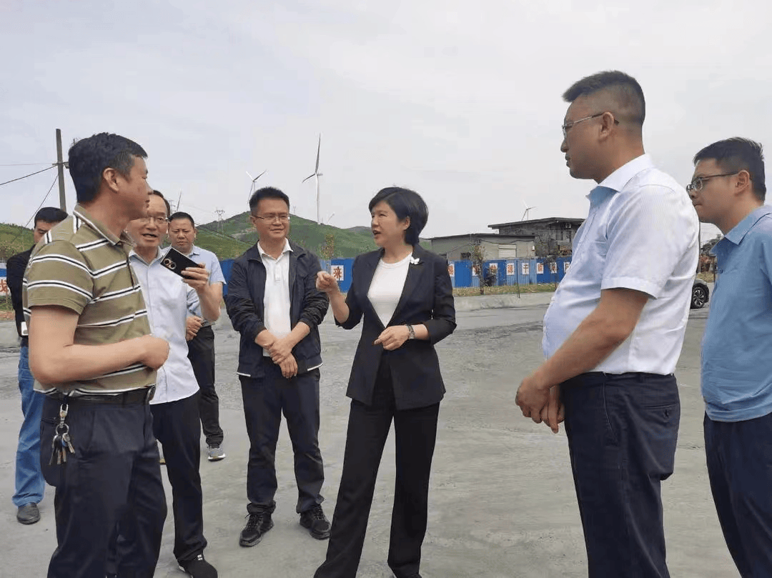 5月15日,郴州市委常委,市人民政府常务副市长冯海燕前往桂阳县调研