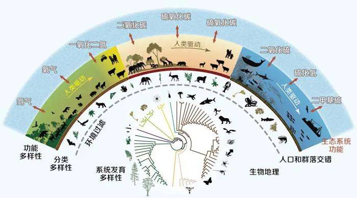【国旗下讲话】万物共生 美好共建_生物_多样性_为保护