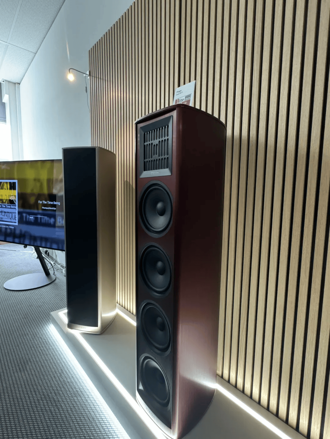 瑞士piega(品歌)亮相德国high end munich慕尼黑高端音响展