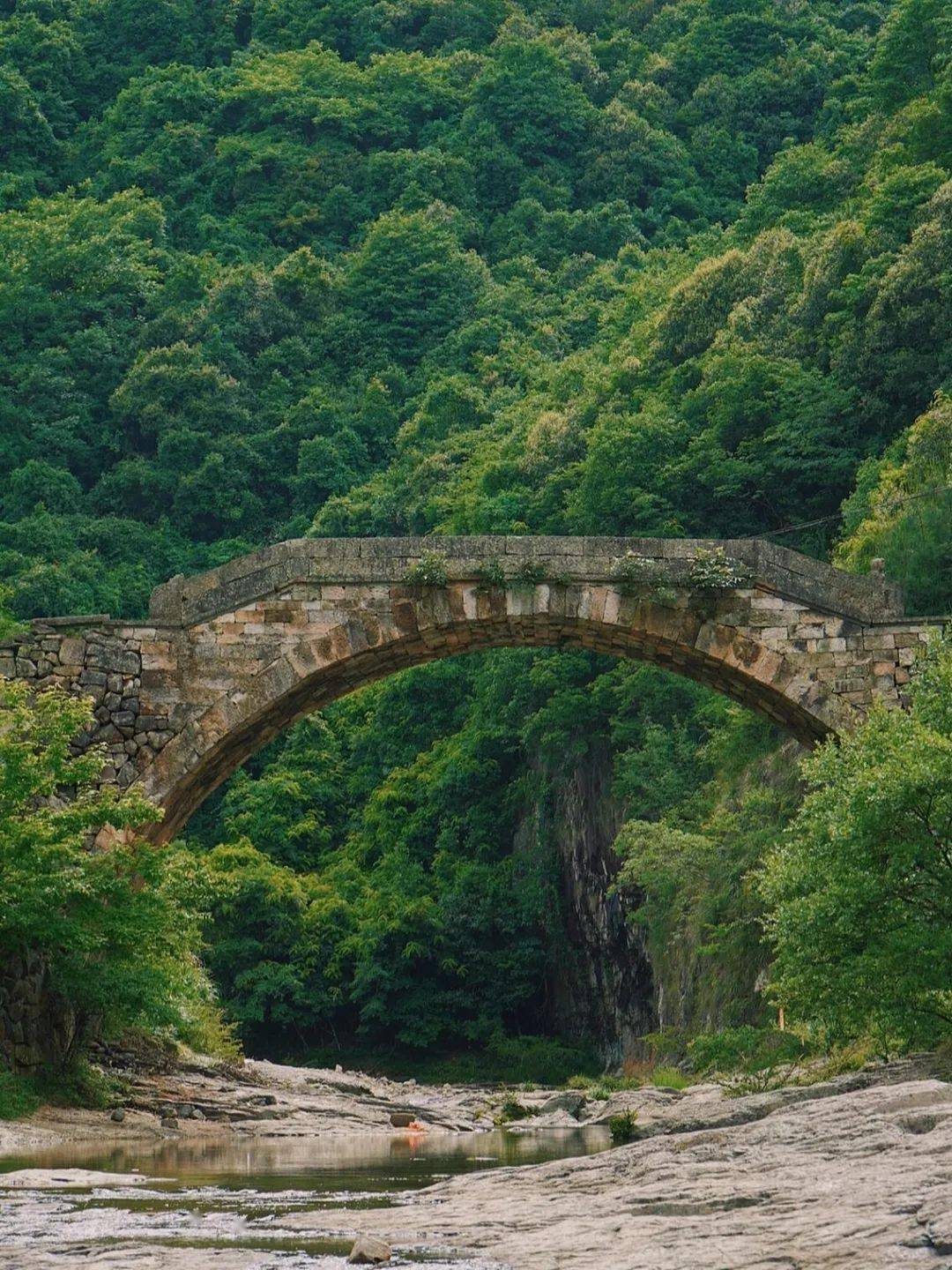 赫赫有名的大诗人,先后从浙江运河出发,经过新昌南岩寺,大佛寺,天姥山
