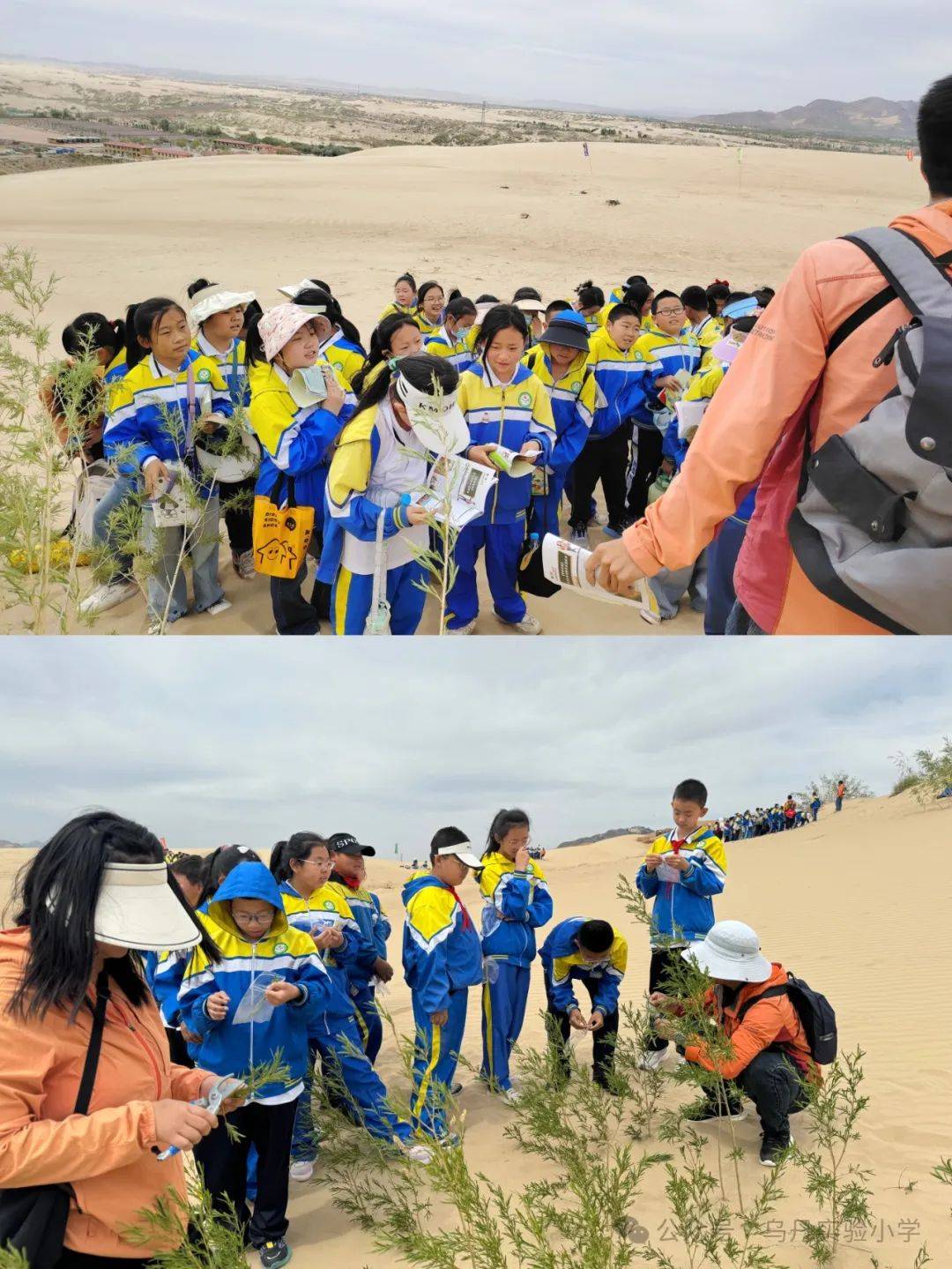 "探索生命的意义 做自然里的孩子" ——乌丹实验小学玉龙沙湖教育研学