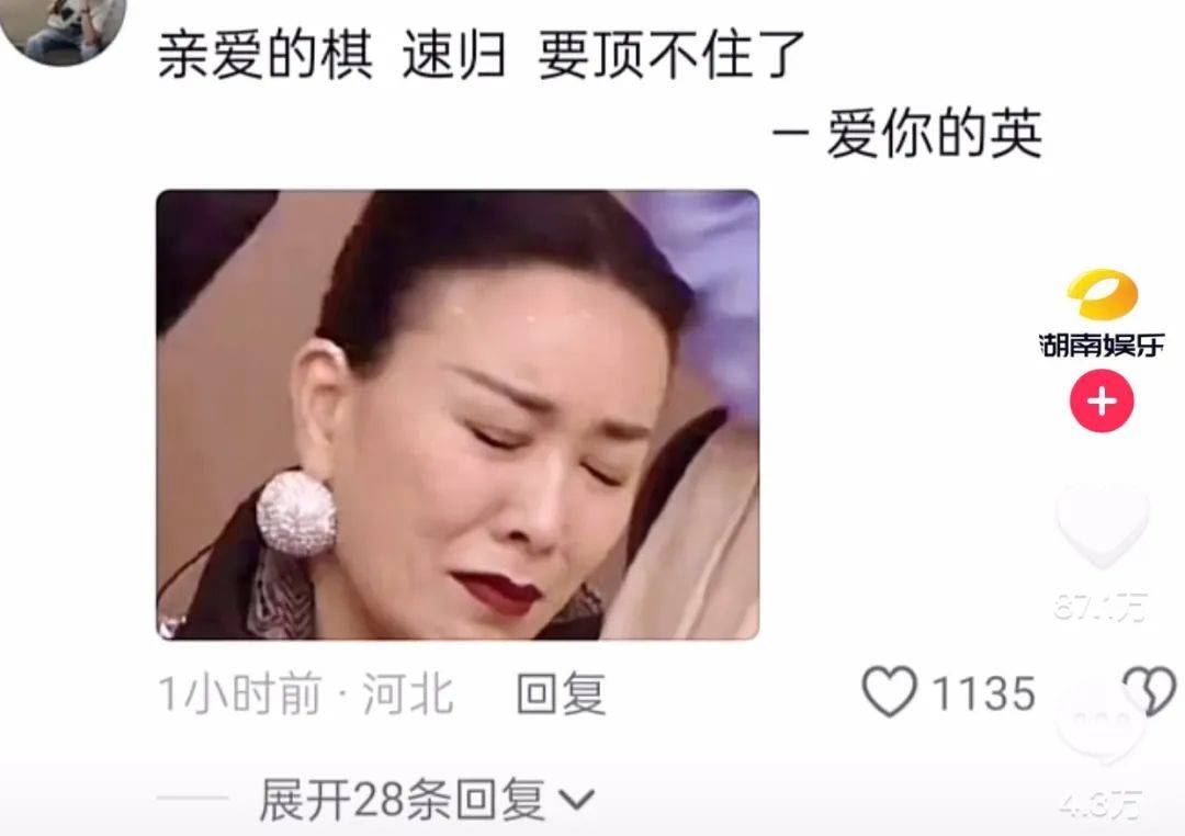 破碎女孩那英2024历险记_英子_网友_表情