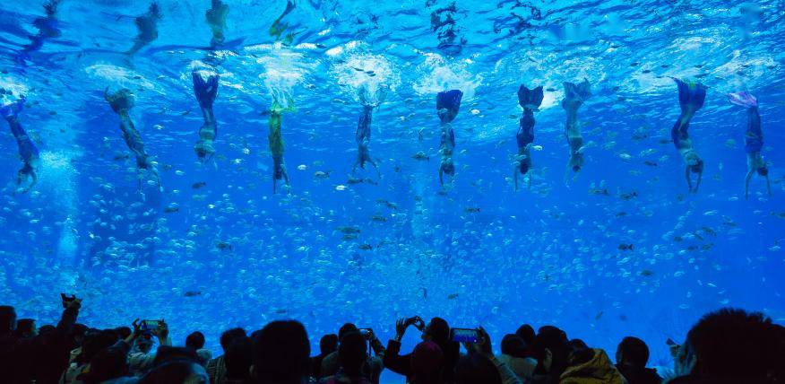 【上海海昌海洋公园官方度假酒店】999元起开启海洋治愈系亲子度假!