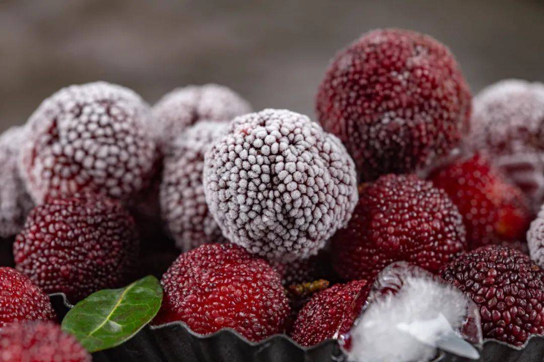 浙江省杨梅果实品质发展现状探析[j].农产品质量与安全,2023(4):2